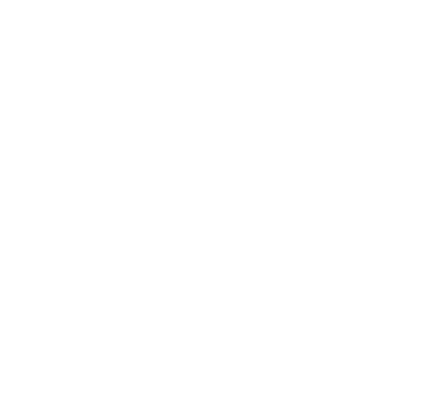 Evigant Modern Kitchen