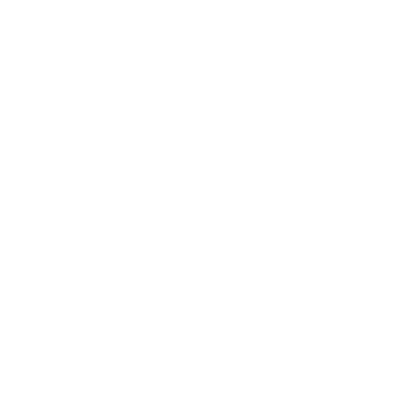 Secure Drive